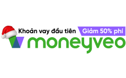 Moneyveo VN