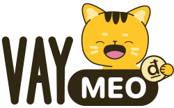  VayMeo VN